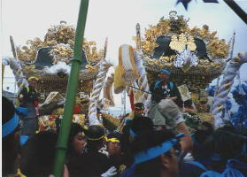 写真7