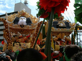 写真11